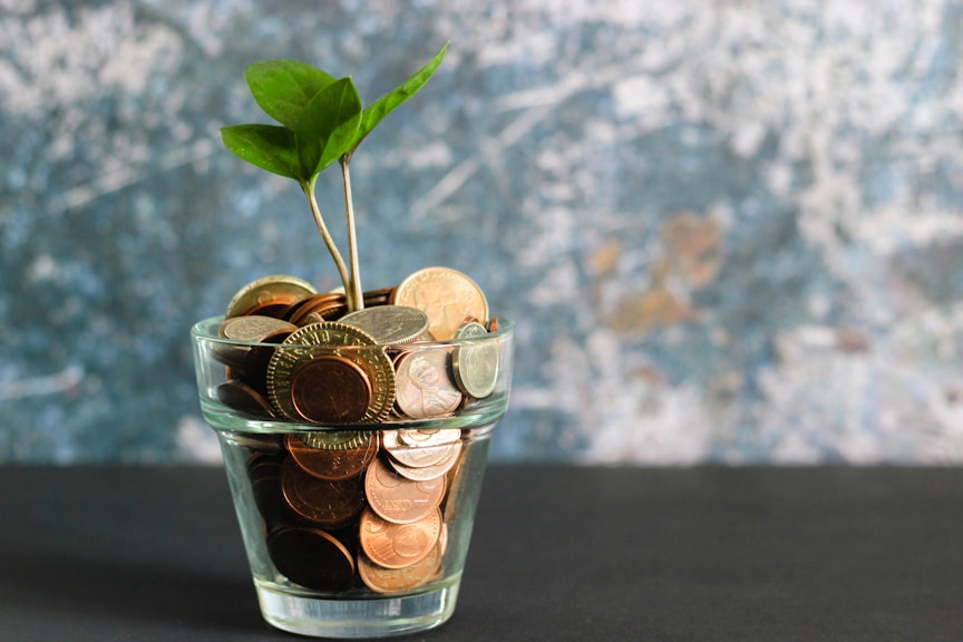 Coins with a sprouting plant