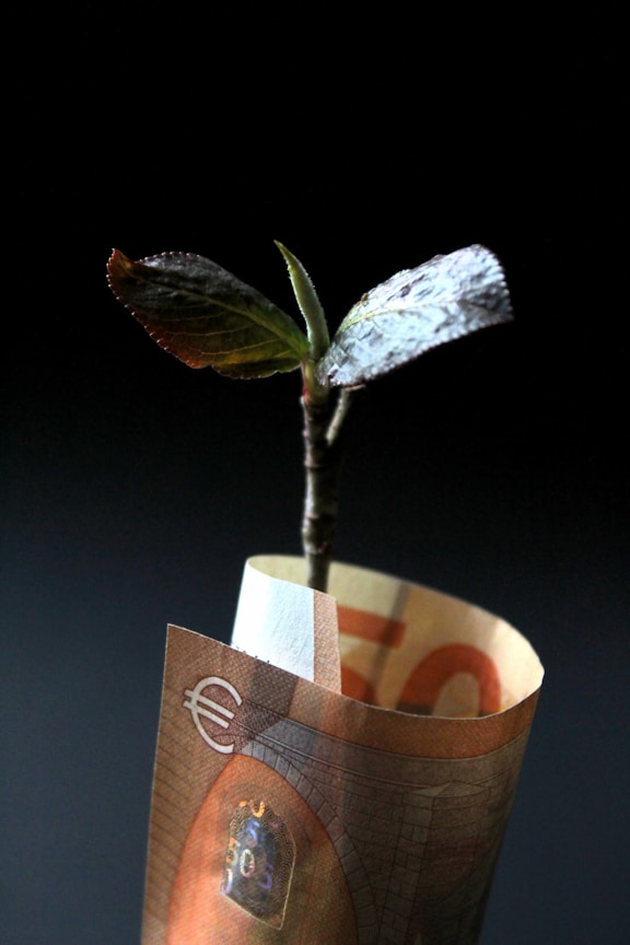 Plant growing from a banknote